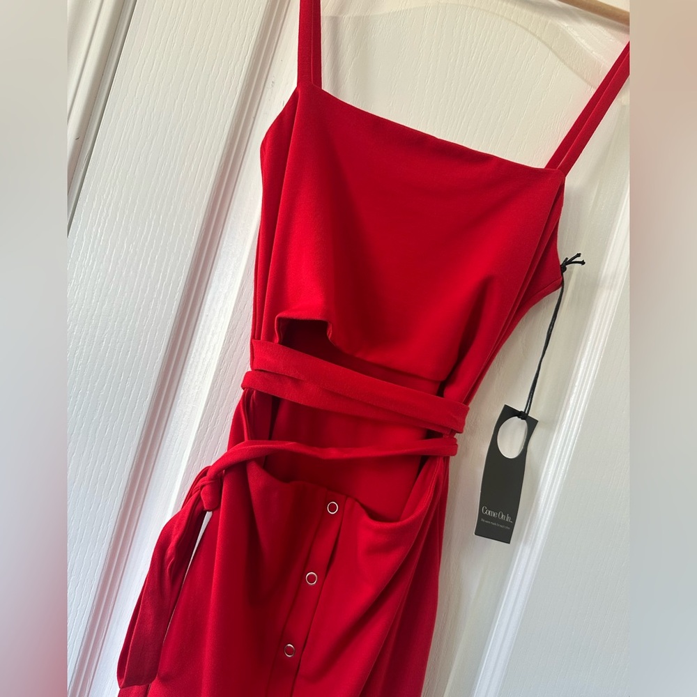 Privacy Please Cut Out with Waist Tie Mini Dress